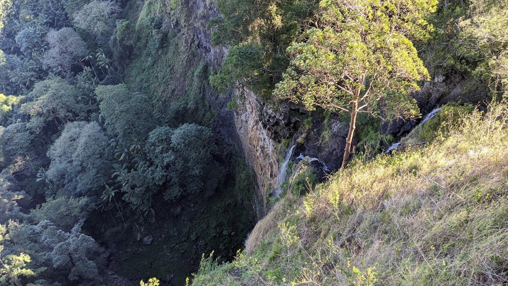 Mapleton Falls Lookout | tourist attraction | Mapleton Falls Rd, Mapleton QLD 4560, Australia | 137468 OR +61 137468