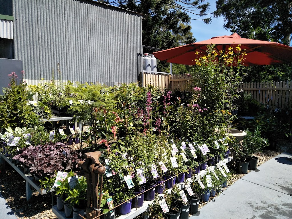 Pam’s Store Tilba Tilba | 266 Corkhill Dr, Tilba Tilba NSW 2546, Australia | Phone: 0402 171 450 Pam’s Store Tilba Tilba | 266 Corkhill Dr, Tilba Tilba NSW 2546, Australia | Phone: 0402 171 450