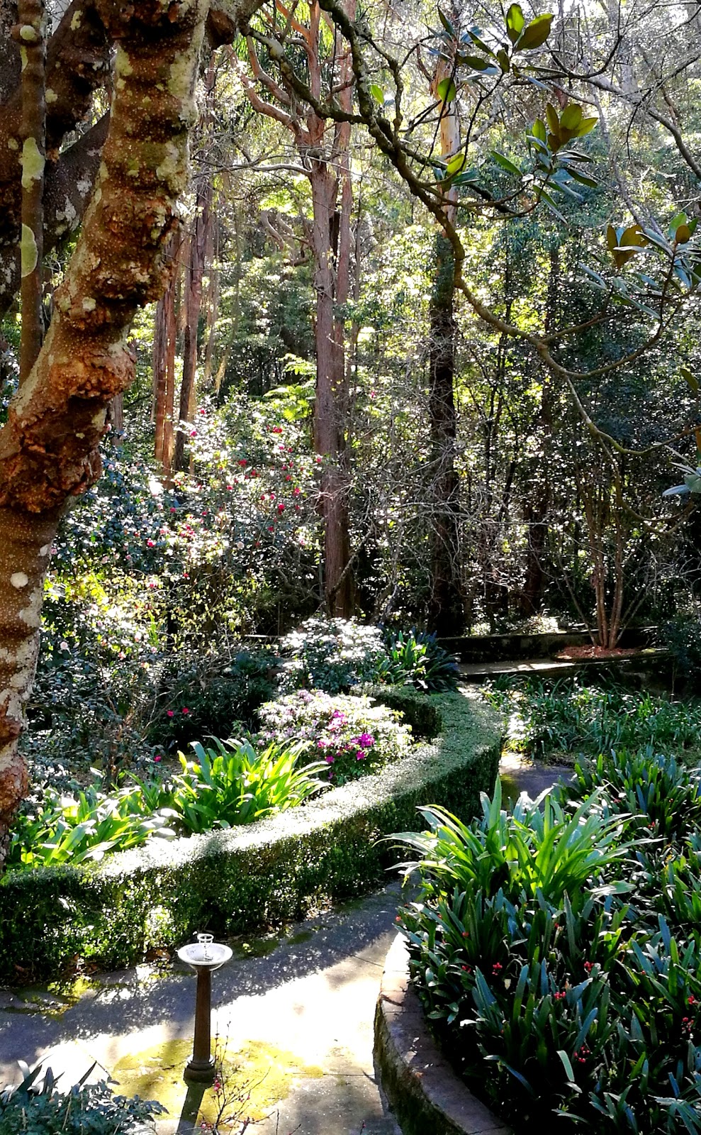 Swain Gardens | 77 Stanhope Rd, Killara NSW 2071, Australia | Phone: (02) 9424 0000