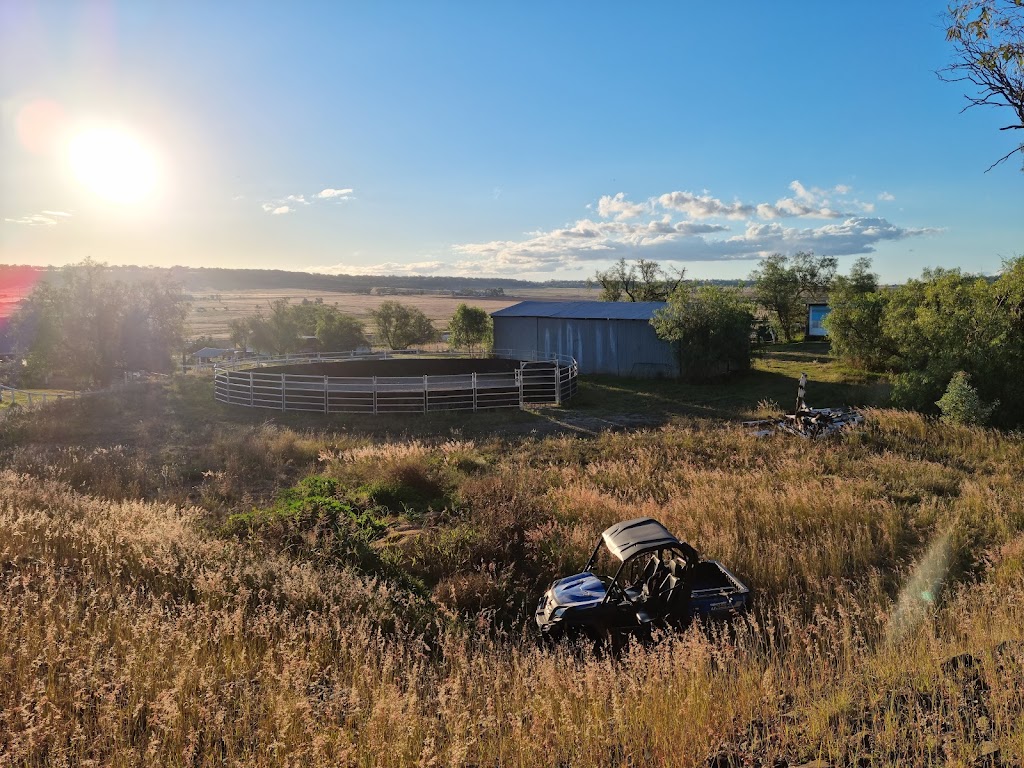 Highview park equestrian | 17341 New England Hwy, Allora QLD 4362, Australia | Phone: 0416 882 560