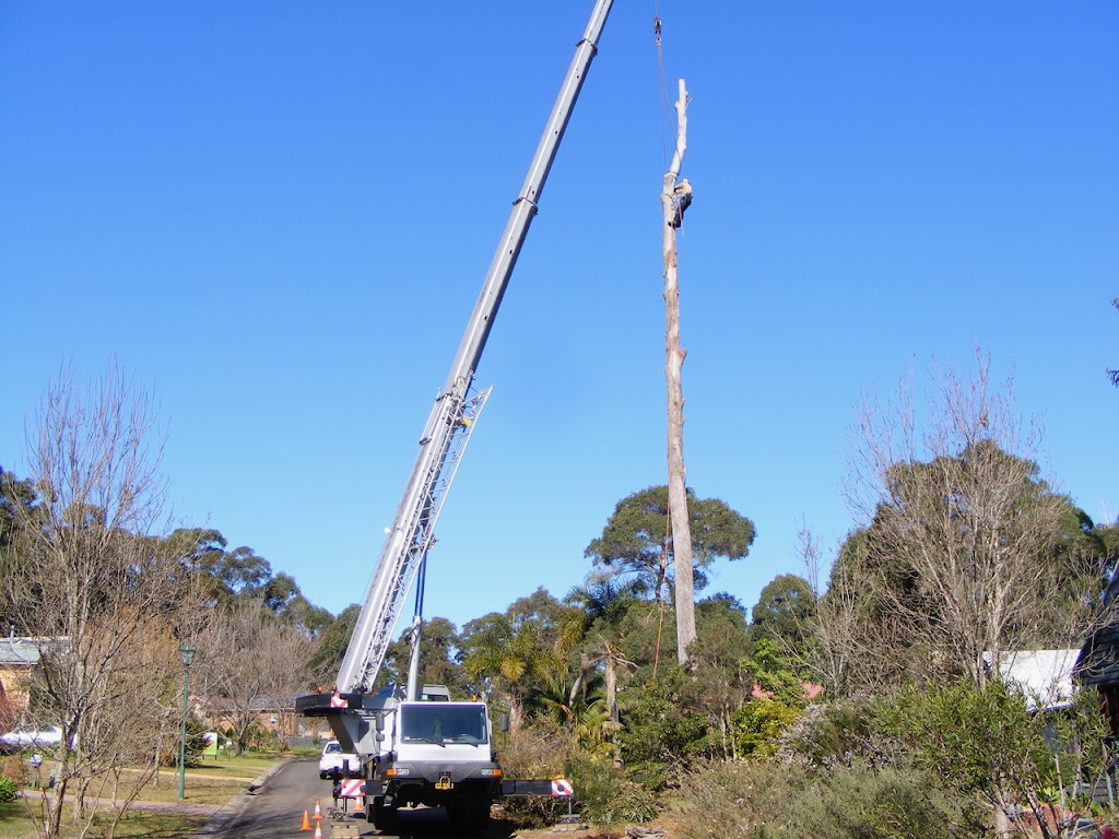 Arbor Medic | 244 Evans Ln, Woodstock NSW 2538, Australia | Phone: (02) 4455 6956