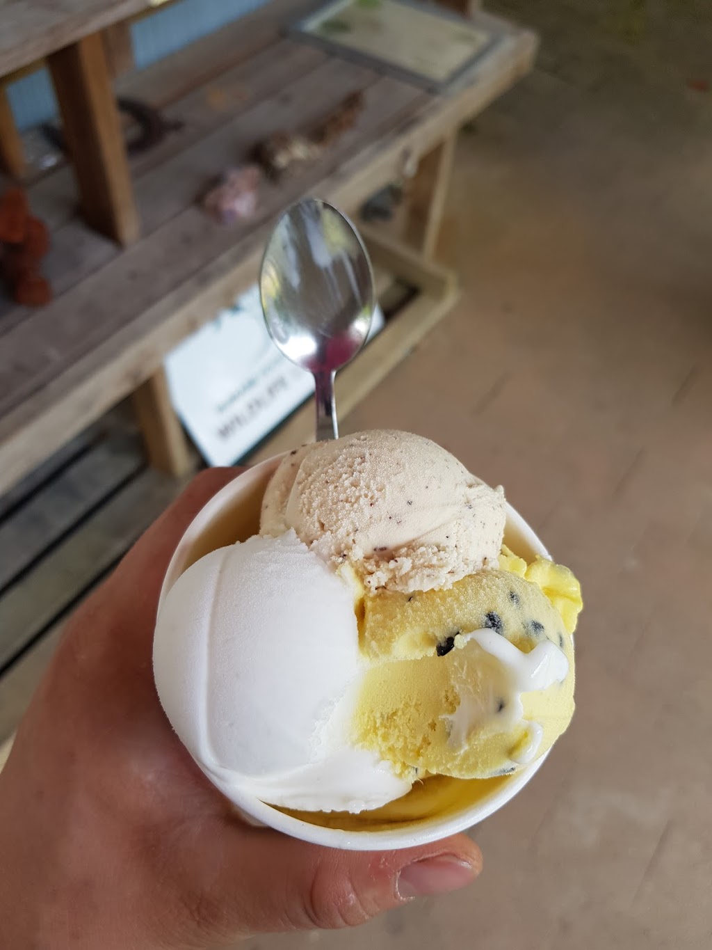 Daintree Ice Cream Company | 1819 Cape Tribulation Rd, Diwan QLD 4873, Australia | Phone: (07) 4098 9114