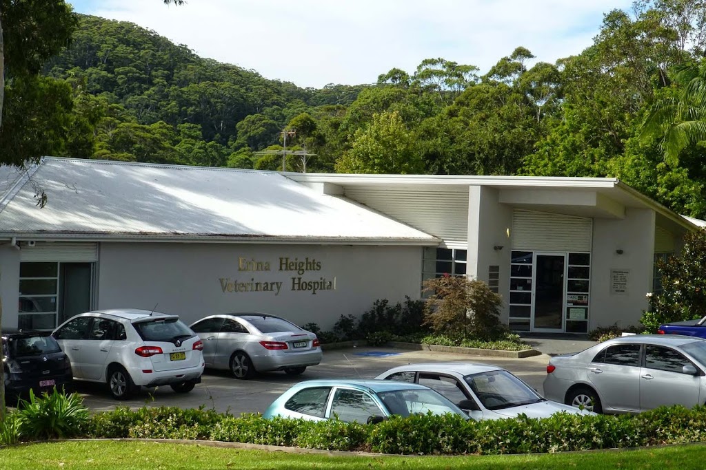 Erina Heights Vet Hospital | veterinary care | 661 Central Coast Hwy, Wamberal NSW 2260, Australia | 0243845888 OR +61 2 4384 5888