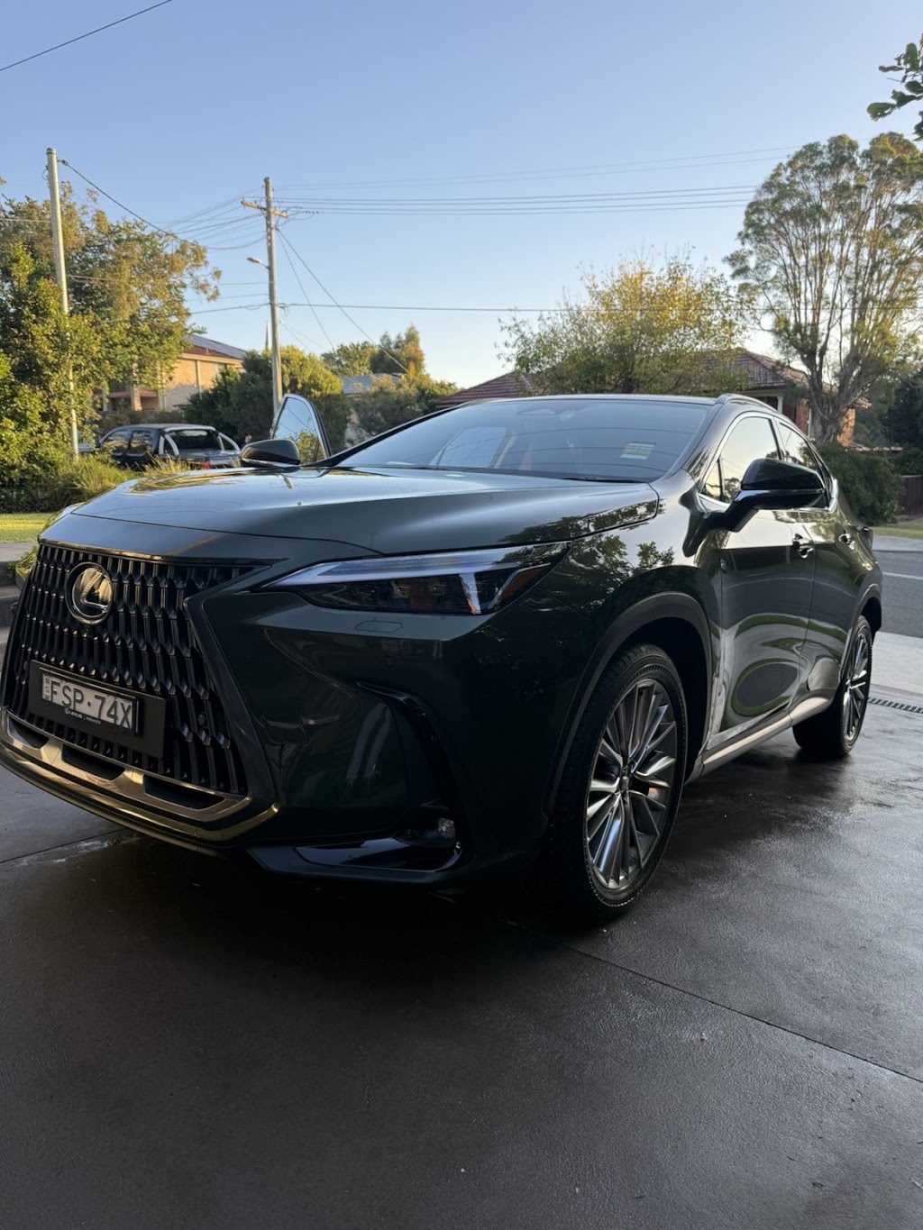 LR Detail Sydney | 58 Pine St, Rydalmere NSW 2116, Australia | Phone: 0410 188 701