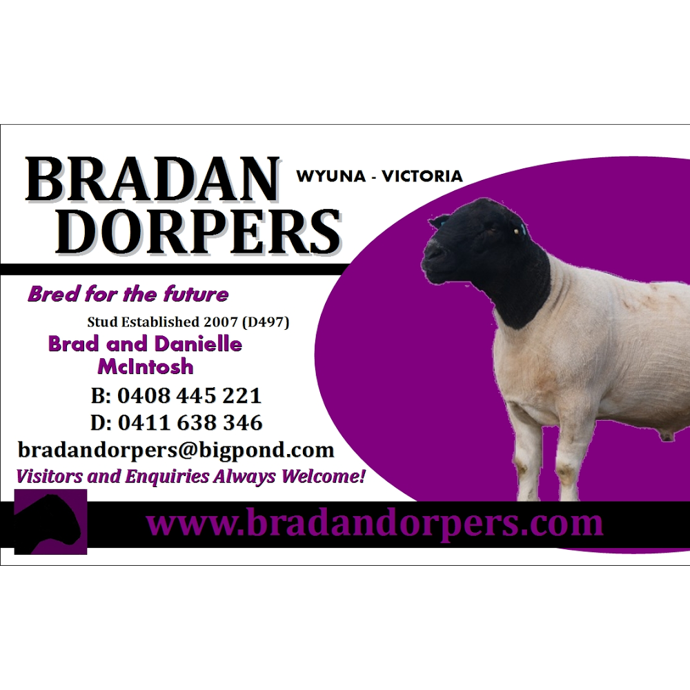 Bradan Dorpers |  | 6405 Murray Valley Hwy, Wyuna VIC 3620, Australia | 0408445221 OR +61 408 445 221