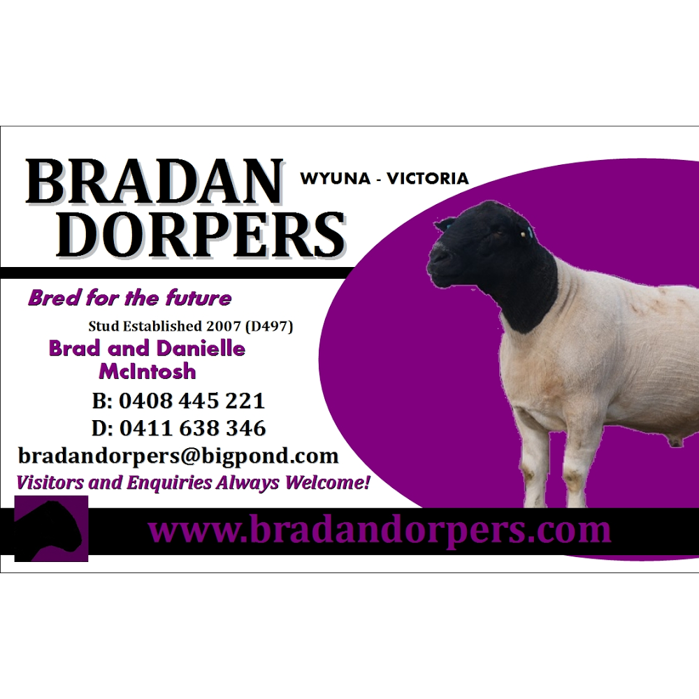 Bradan Dorpers | 6405 Murray Valley Hwy, Wyuna VIC 3620, Australia | Phone: 0408 445 221