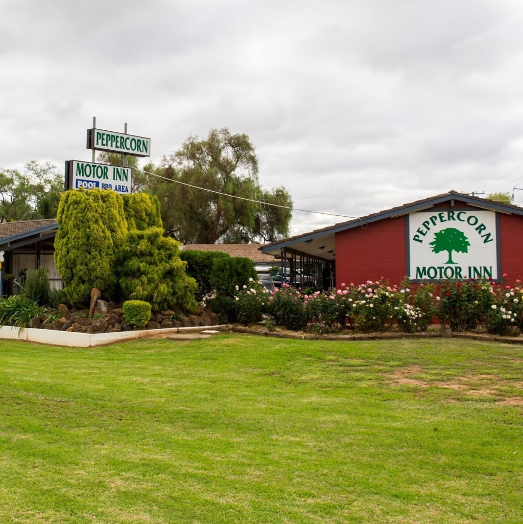 Peppercorn Motor Inn accommodation in Narromine | lodging | 18 Trangie Rd, Narromine NSW 2821, Australia | 0268891399 OR +61 2 6889 1399