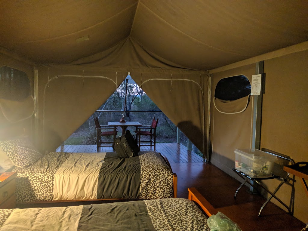 Jabiru Safari Lodge | lodging | 142 Pickford Rd, Biboohra QLD 4880, Australia | 0740932514 OR +61 7 4093 2514