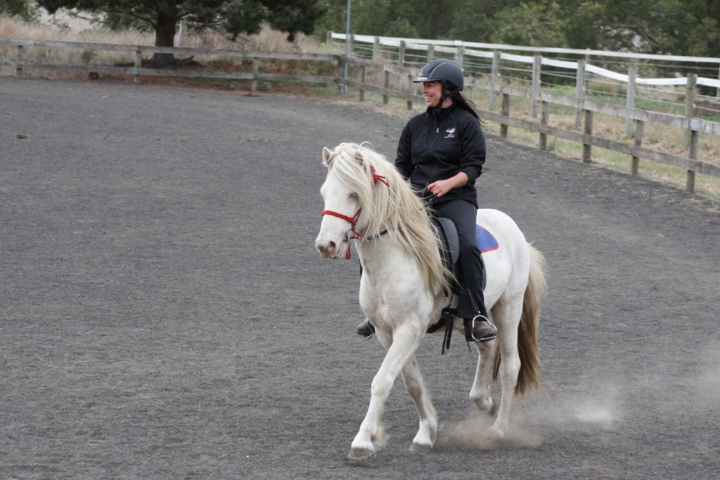 Haldane Icelandic Horses |  | Princes Hwy, Yambuk VIC 3285, Australia | 0431815880 OR +61 431 815 880