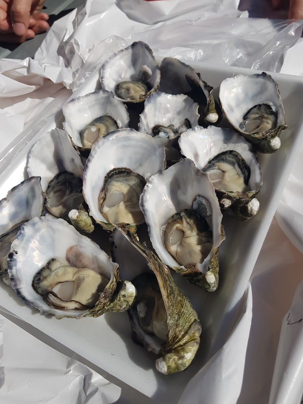 Charis Seafoods | cafe | 371 Marine Parade, Labrador QLD 4215, Australia | 0755271100 OR +61 7 5527 1100