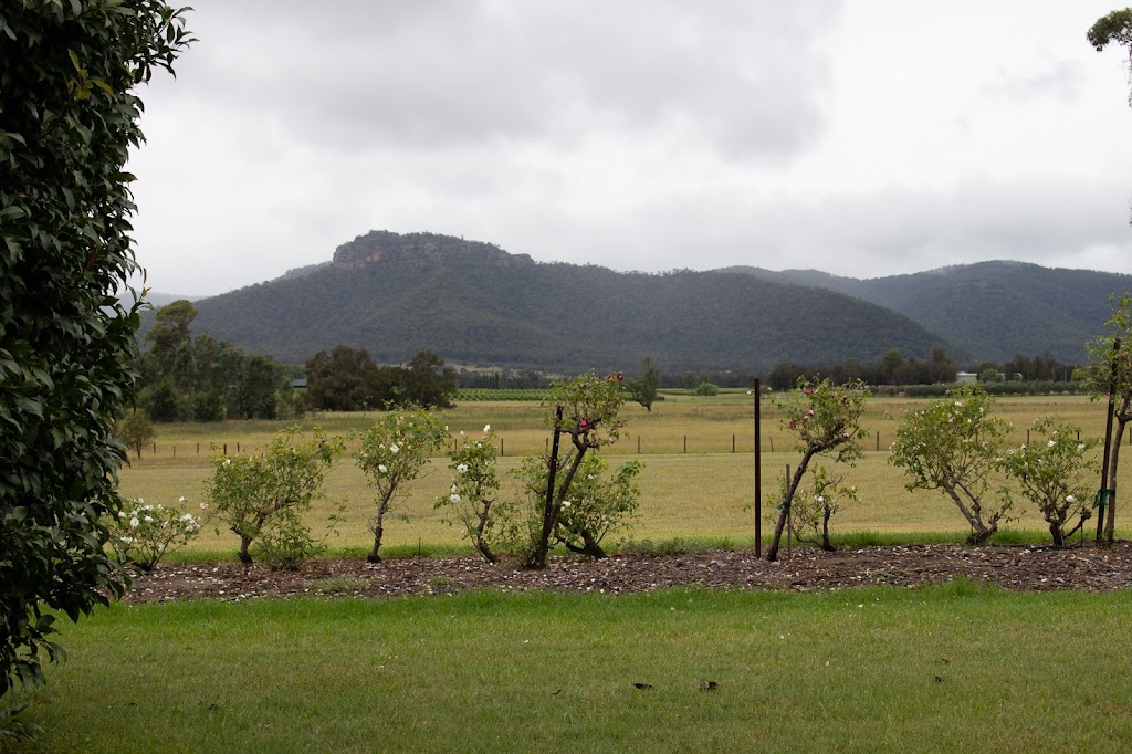 THE WELLNESS FARM - HUNTER VALLEY | 130 Hill St, Broke NSW 2330, Australia | Phone: 0402 764 116