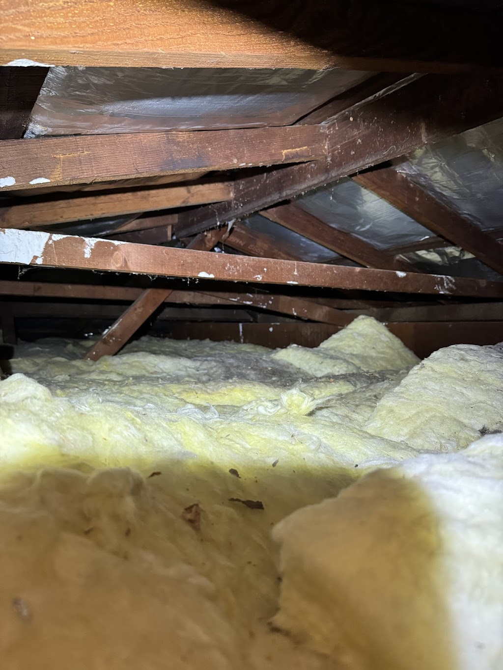 Australian Inspections- Bathurst | 166a Rocket St, Bathurst NSW 2795, Australia | Phone: 0418 608 732