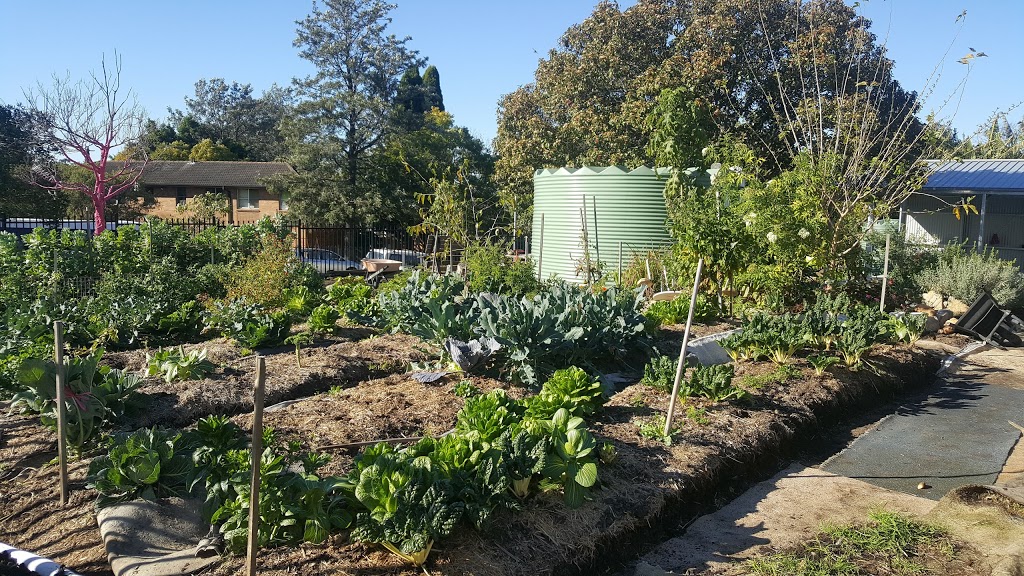 Lalor Park Community Garden | park | Parkside Dr, Lalor Park NSW 2147, Australia