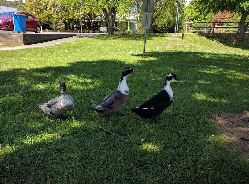 St Marys Library Park | park | 64 Esk Hwy, St Marys TAS 7215, Australia