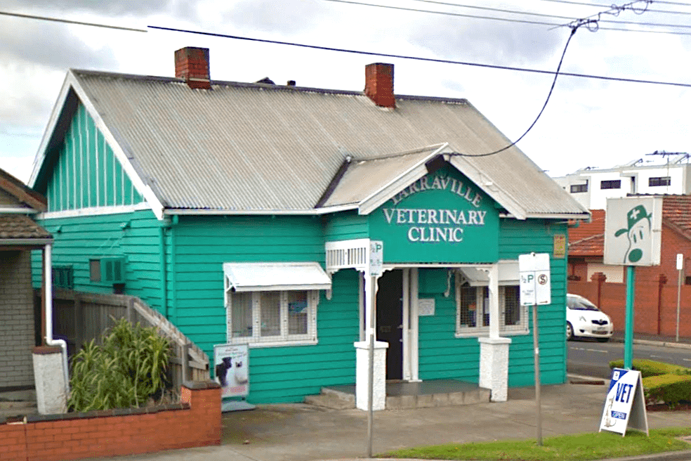 Yarraville Veterinary Clinic | veterinary care | 291 Williamstown Rd, Yarraville VIC 3013, Australia | 0393148945 OR +61 3 9314 8945