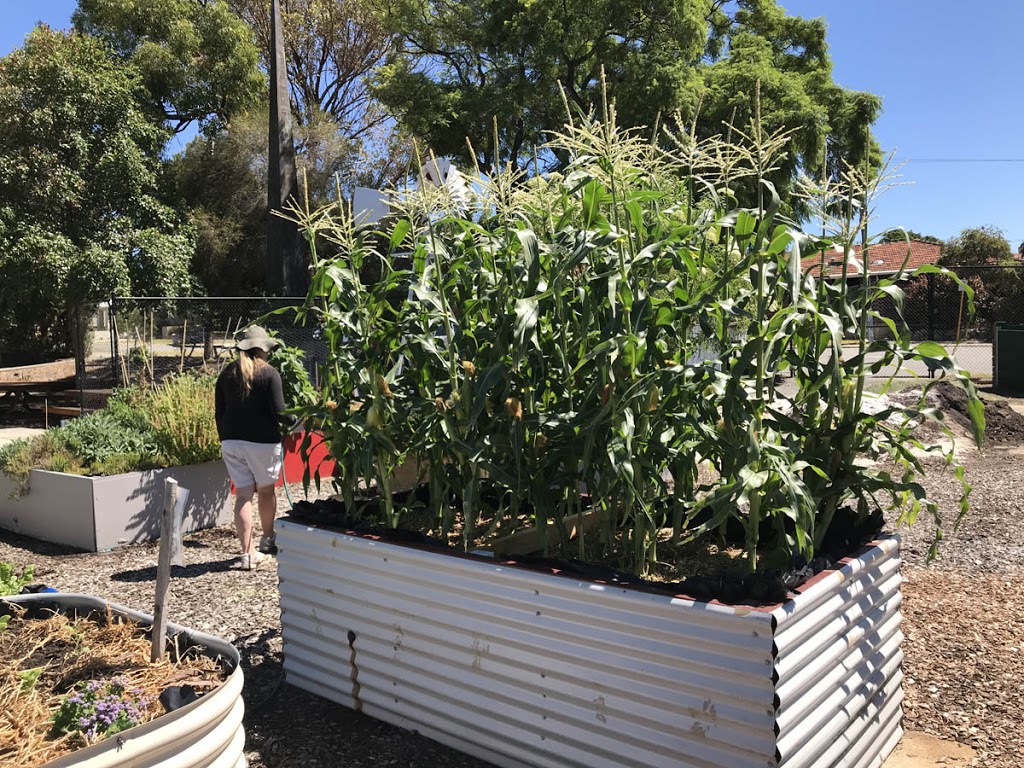 Mustard Seed Community Garden | park | 50 Frape Ave, Yokine WA 6060, Australia