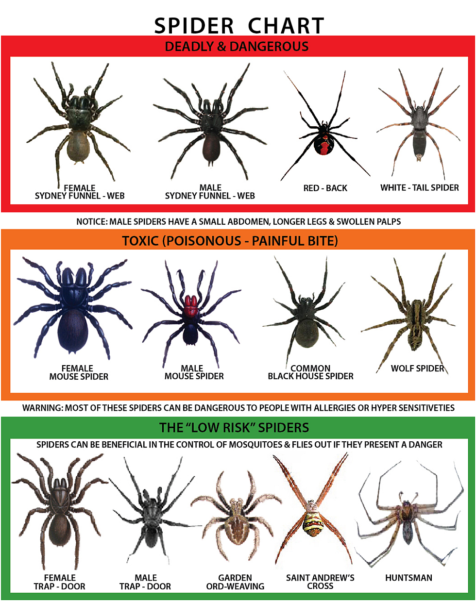 Newcastle Kill A Pest - Pest Control & Termite Inspections | 22 French Rd, Wangi Wangi NSW 2267, Australia | Phone: (02) 4911 2366