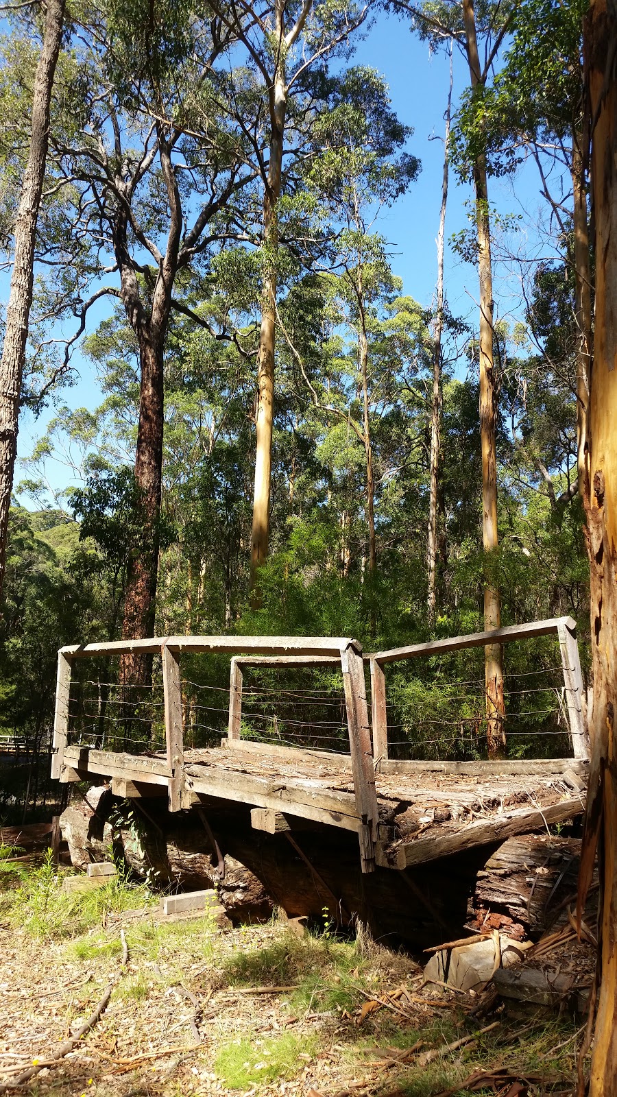One Tree Bridge Chalets | 2050 Graphite Road, Manjimup WA 6258, Australia | Phone: (08) 9777 1196