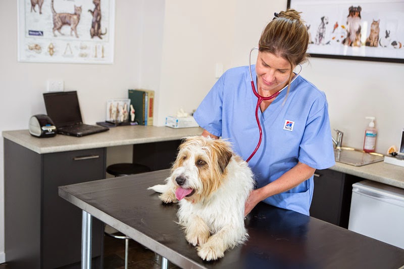 Hills Family Pet Vet | veterinary care | 687 Old Northern Rd, Dural NSW 2158, Australia | 0296598923 OR +61 2 9659 8923