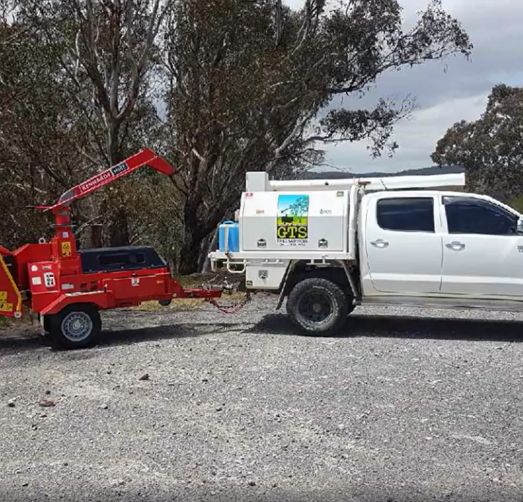 GTS TREE SERVICES pty ltd | 40 Robinson St, Goulburn NSW 2580, Australia | Phone: 0411 551 961