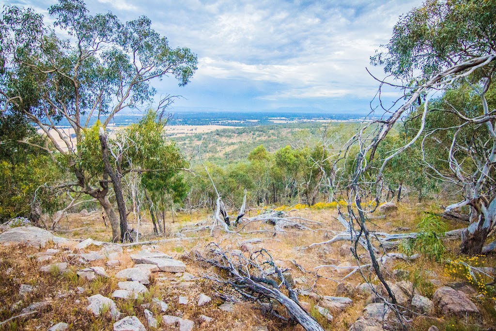 Warby Tower Lookout | Coxs Rd, Killawarra VIC 3678, Australia | Phone: 13 19 63