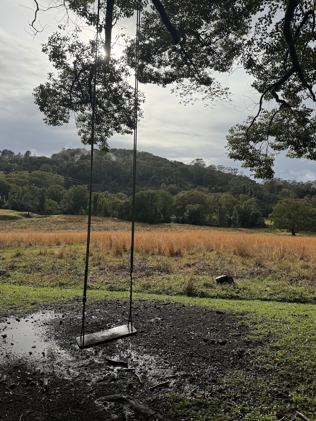 Lionsgate Events Pty Ltd | Heartwood Farm, 498 Binna Burra Rd, Federal NSW 2480, Australia | Phone: 0417 388 880