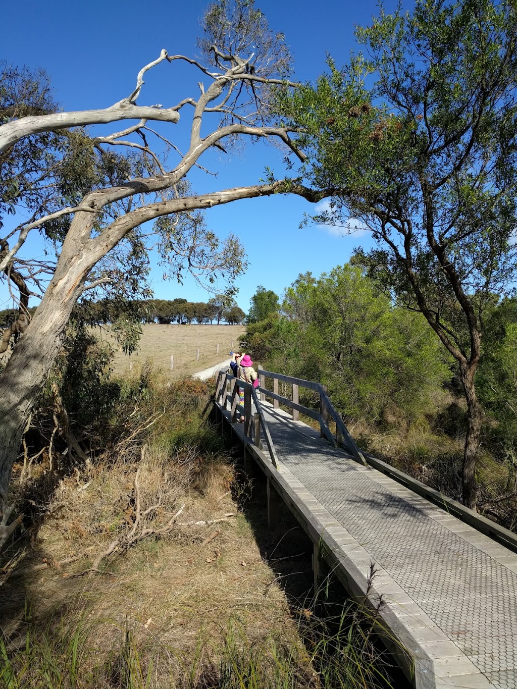 Rhyll Inlet State Wildlife Reserve | Mcilwraith Rd, Rhyll VIC 3923, Australia | Phone: 1300 366 422