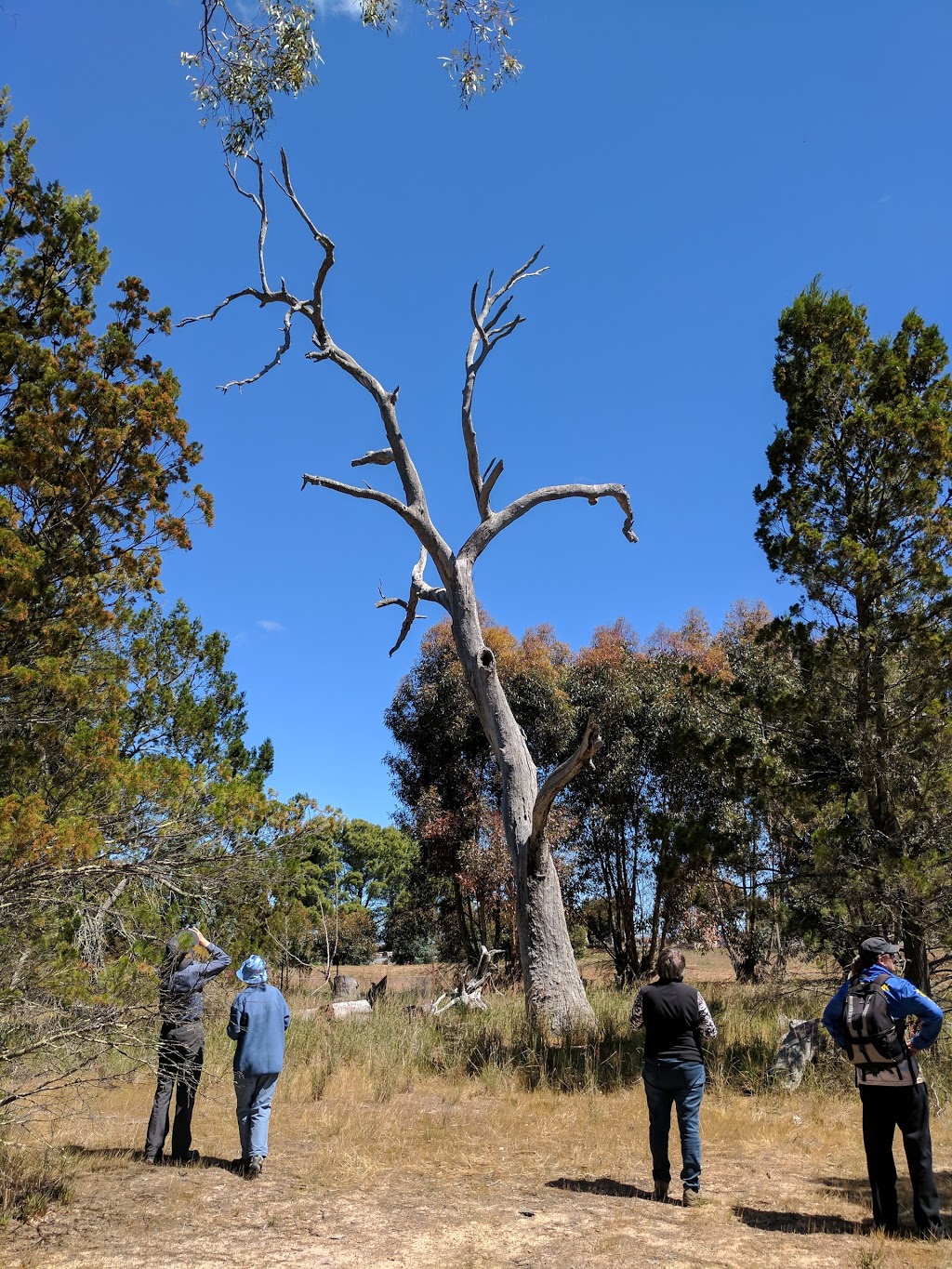 Kiata Flora & Fauna Reserve | Kiata VIC 3418, Australia | Phone: 13 19 63