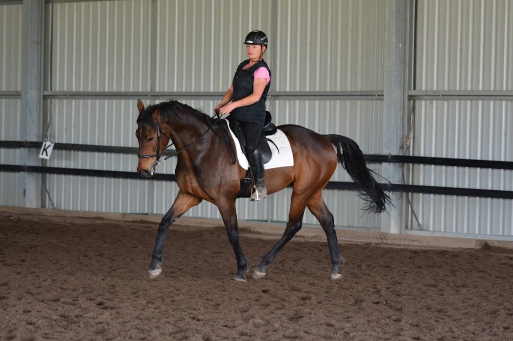 Ian Leighton Horsemanship | 176 Heatherbell Rd, Forcett TAS 7173, Australia | Phone: 0402 788 682