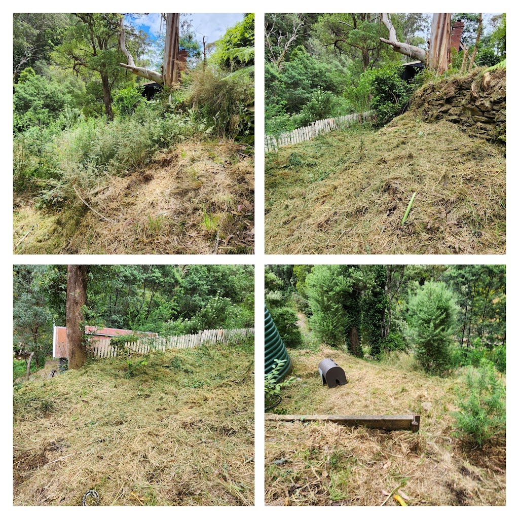 Girl power property services | Victoria St, Moe VIC 3825, Australia | Phone: 0435 033 721