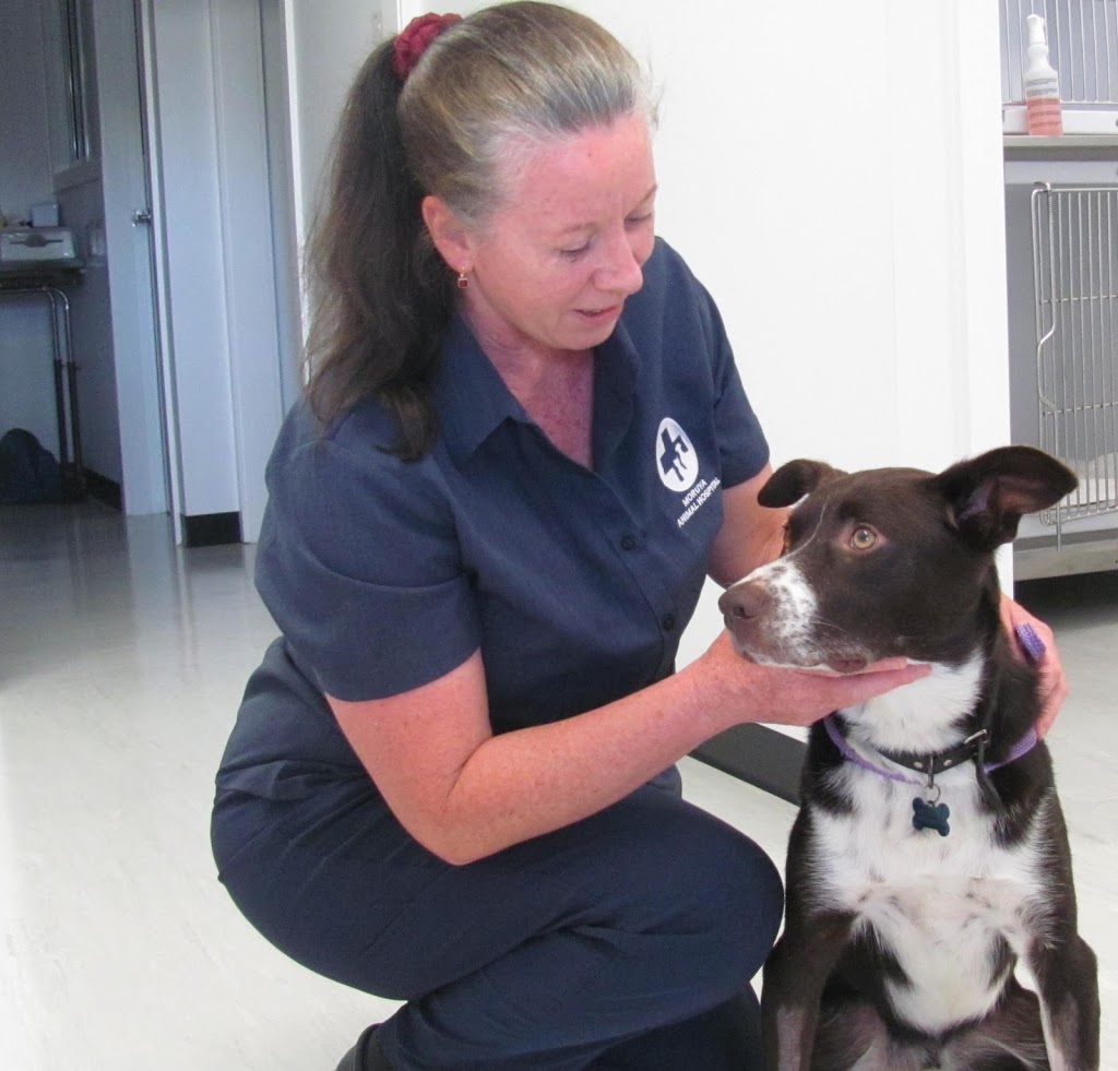 Moruya Animal Hospital | veterinary care | 3/2 Shelley Rd, Moruya NSW 2537, Australia | 0244740077 OR +61 2 4474 0077