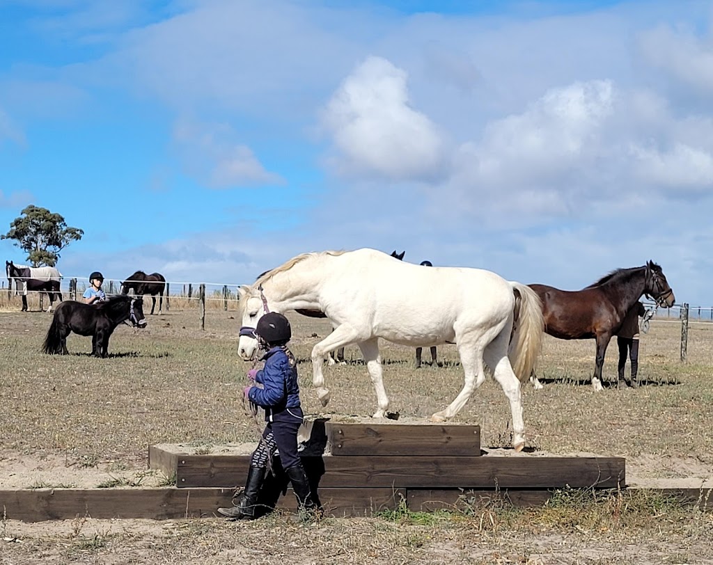Unicorn Agility Park | Sawpit Gully Rd, Lower Inman Valley SA 5211, Australia | Phone: 0413 799 599