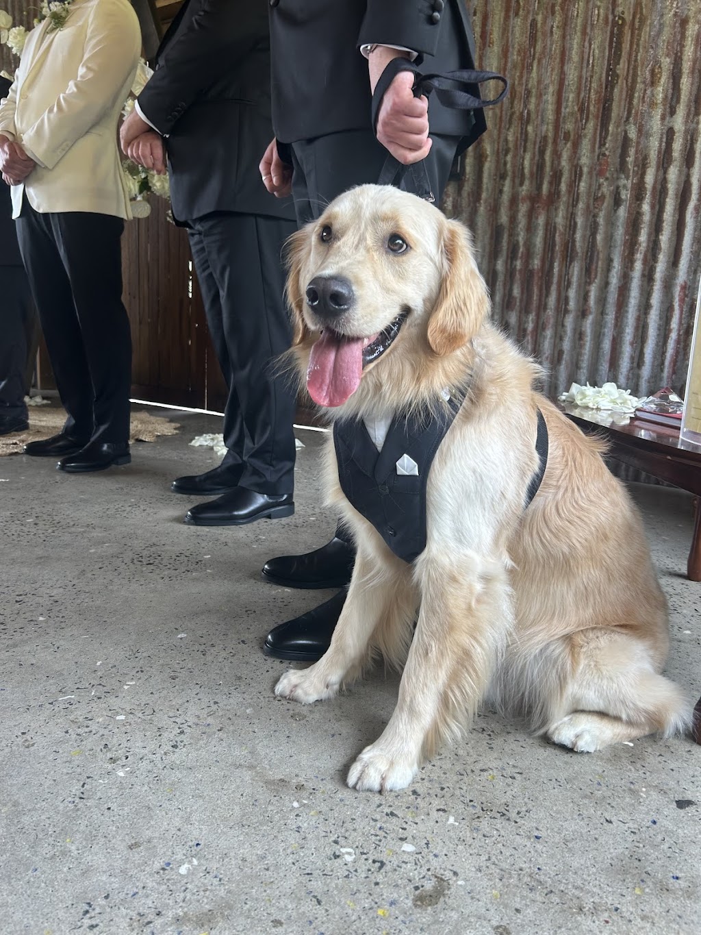 Love with Paws Weddings | 12B Como Ave, Burrill Lake NSW 2539, Australia | Phone: 0414 078 442