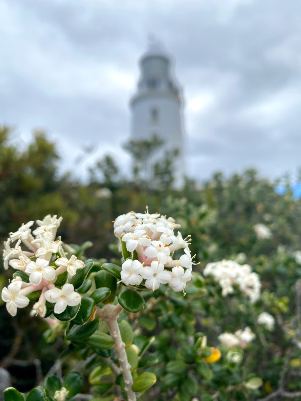 Cape Bruny Lightstation | Cape Bruny Lighthouse, 1750 Lighthouse Rd, South Bruny TAS 7150, Australia