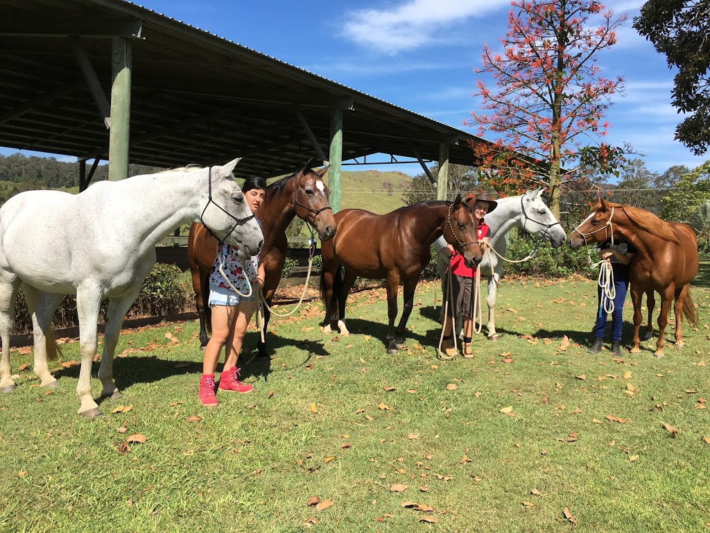 Horses and Humans Equestrian Centre | school | 92 Lockes Ln, Belli Park QLD 4562, Australia | 0754470450 OR +61 7 5447 0450