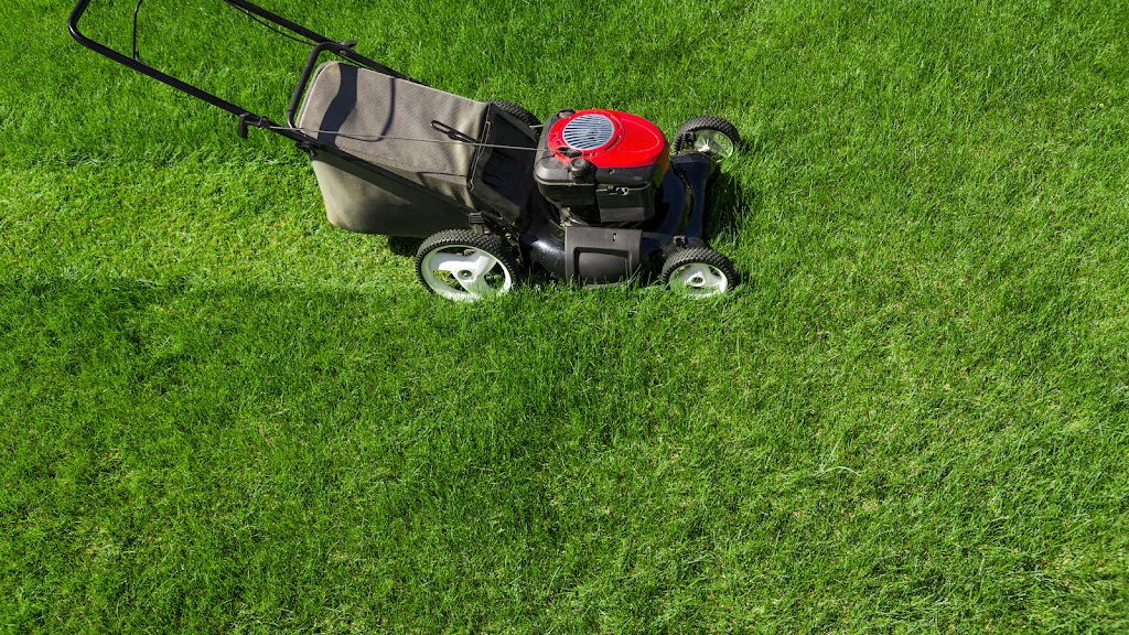 Grampians Gardening and Window Cleaning Services | 27 Lennox Rd, Pomonal VIC 3381, Australia | Phone: 0403 883 620