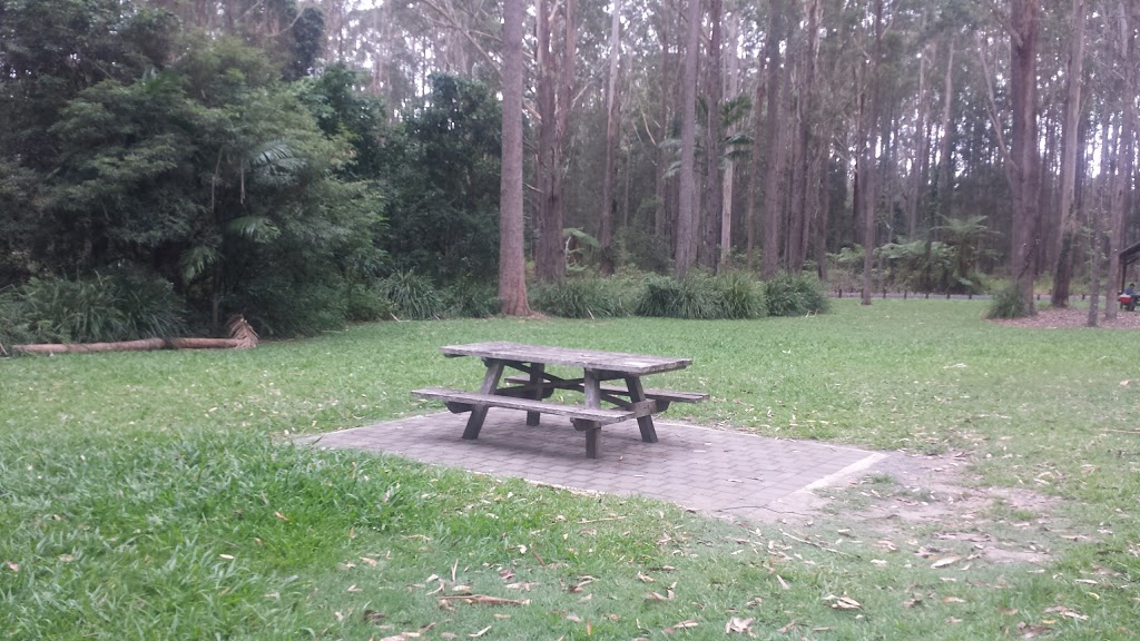 Bongil Picnic Area | park | Bundagen NSW 2450, Australia