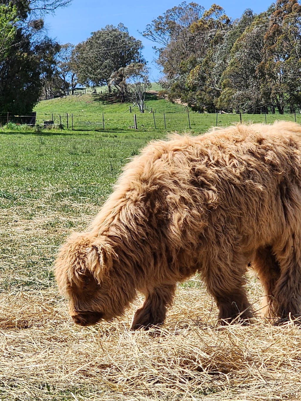 Minard Farm | 135 Richards Ln, Joadja NSW 2575, Australia | Phone: 0456 856 080