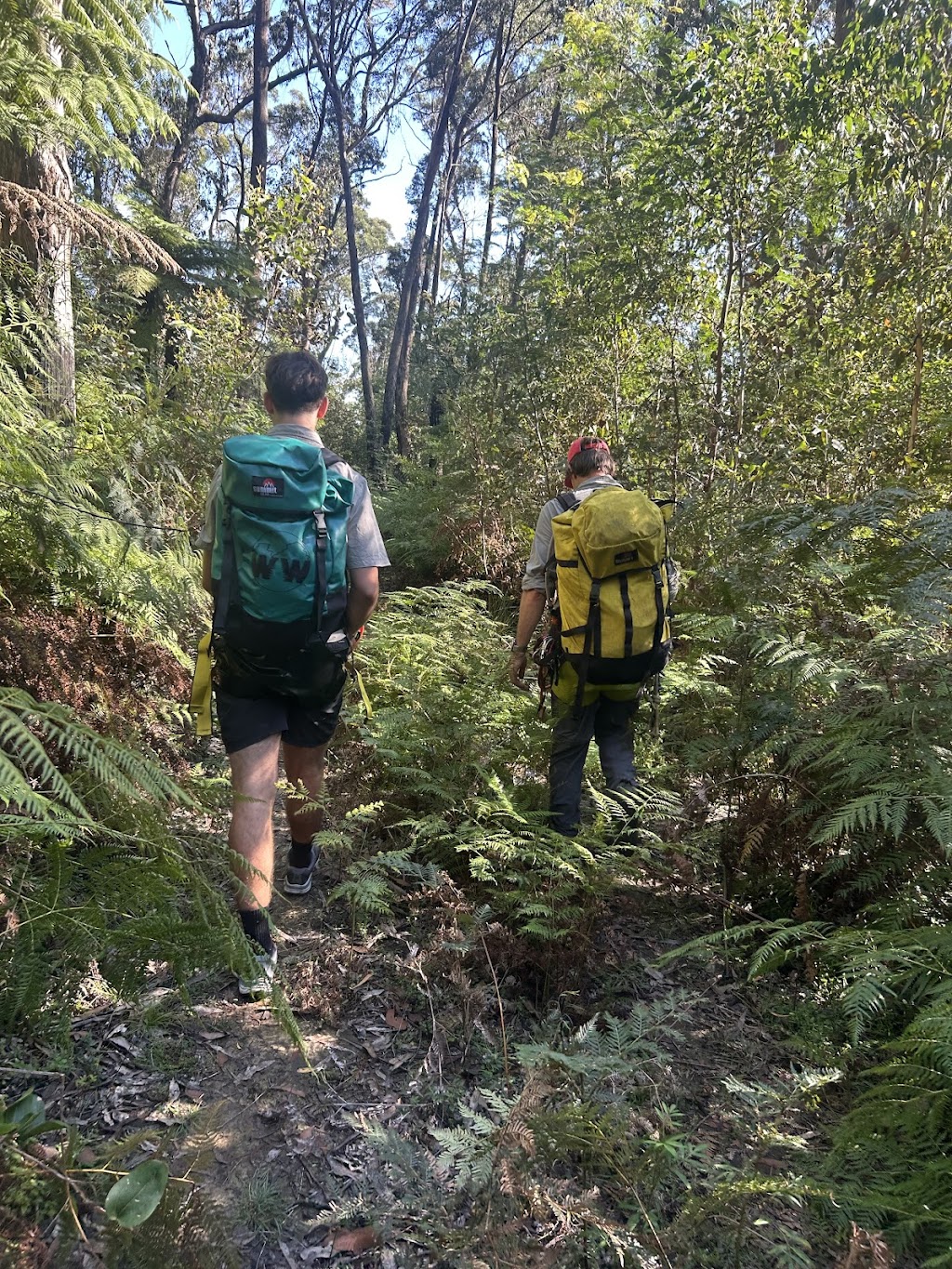 Wollemi Wanders | Bushwalks and Canyoning | 16 Church Ln, Mount Wilson NSW 2786, Australia | Phone: 0436 107 829