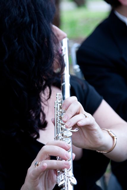 Jane Hart Flute Teacher | 6 Penola Ct, Baulkham Hills NSW 2153, Australia | Phone: 0414 903 498