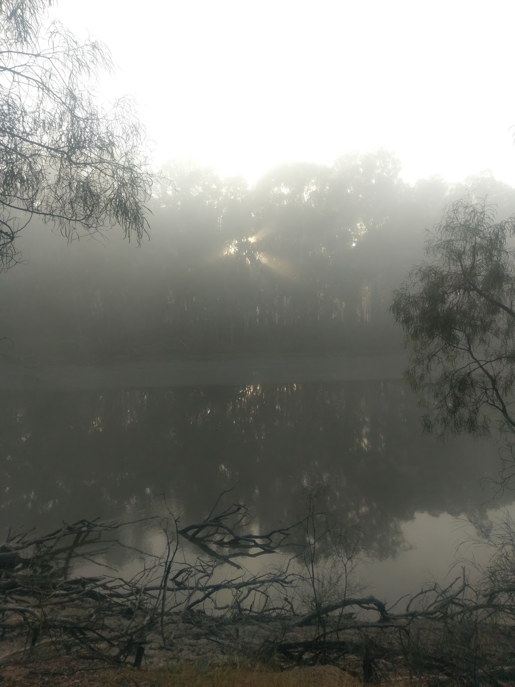 Bushy Bend Reserve | park | Hay NSW 2711, Australia