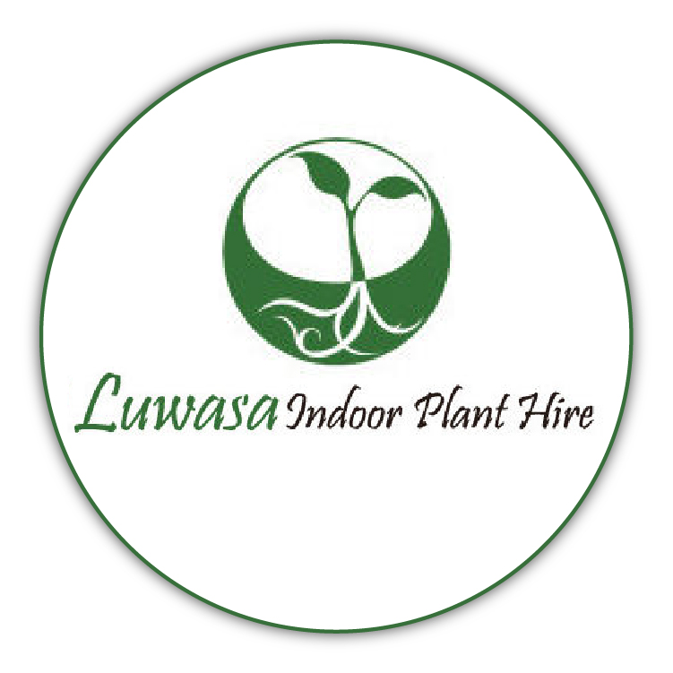 Luwasa Indoor Plant Hire | home goods store | Unit 2 B/56 Sarton Rd, Clayton VIC 3168, Australia | 1300556225 OR +61 1300 556 225