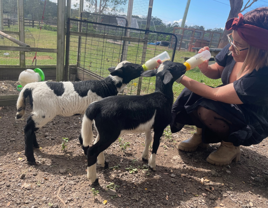 Diverse Pathways | 110 McPherson Rd, Mardi NSW 2259, Australia | Phone: 1300 348 333