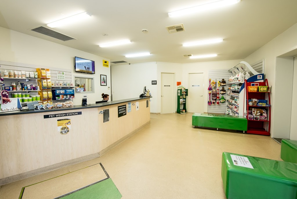 Fulham Gardens Animal Hospital - Pets and their People | veterinary care | 441 Tapleys Hill Rd, Fulham Gardens SA 5024, Australia | 0883555475 OR +61 8 8355 5475