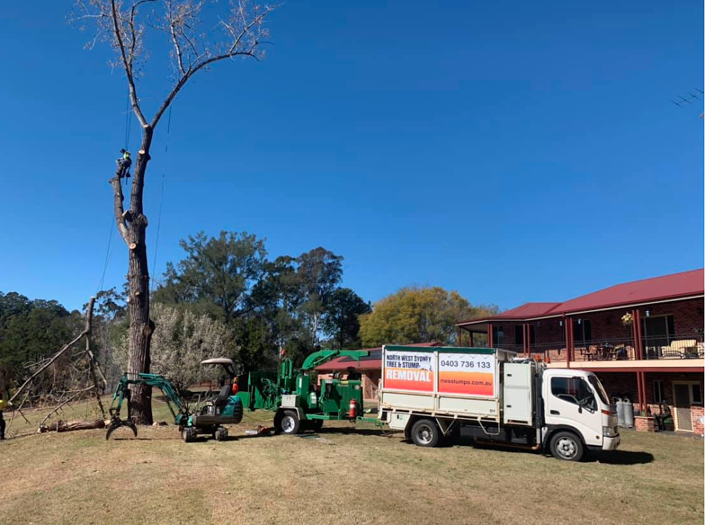 North West Sydney Tree & Stump Removal | 12 Bull Ridge Rd, East Kurrajong NSW 2758, Australia | Phone: 0403 736 133