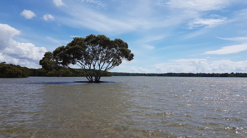 Settlement Point Boat Hire | Settlement Point Boatshed, 170 Settlement Point Rd, Port Macquarie NSW 2444, Australia | Phone: (02) 6583 6300