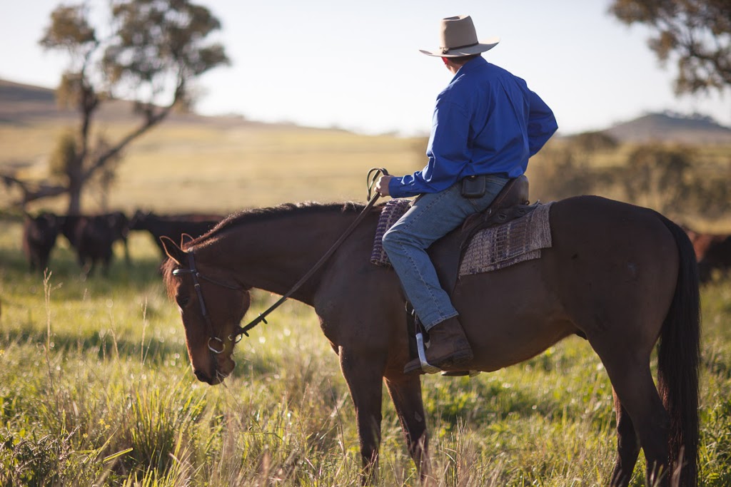 Bishop Wagyu | 159 Pine Mount Rd, Cowra NSW 2794, Australia | Phone: 0429 454 189