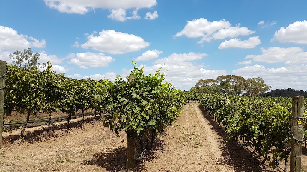 Giaconda vineyard & winery | 30 McClay Rd, Everton Upper VIC 3678, Australia | Phone: (03) 5727 0246