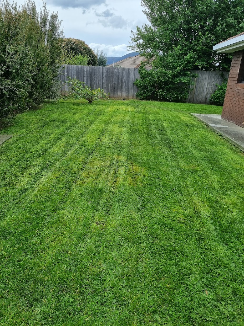 Sandy Gardening and Landscaping | 27 Fouche Ave, Old Beach TAS 7017, Australia | Phone: 0469 750 715 Sandy Gardening and Landscaping | 27 Fouche Ave, Old Beach TAS 7017, Australia | Phone: 0469 750 715