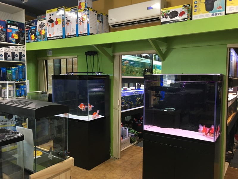 Newlife Aquarium | pet store | 8 Templestowe Rd, Bulleen VIC 3105, Australia | 0398522011 OR +61 3 9852 2011
